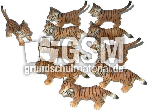 Tiger-1+9.jpg